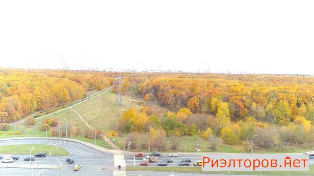 ����� ������� ����� �������-������ 42 (���� �8)