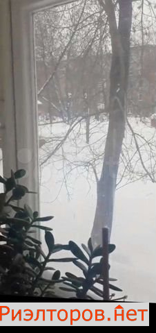������ ������ ����� ������� 17 (���� �3)