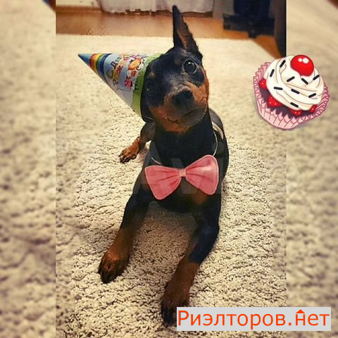 ����� ������� ���������� ����� 160�2 (���� �22)