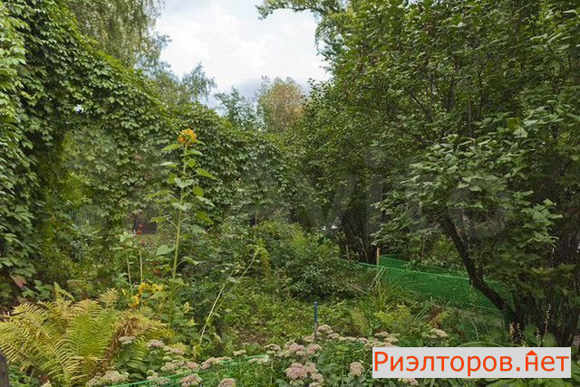 ������ �������� ����� �������� 3 (���� �2)