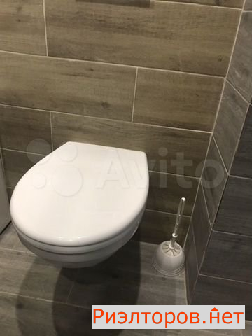       ( 3)