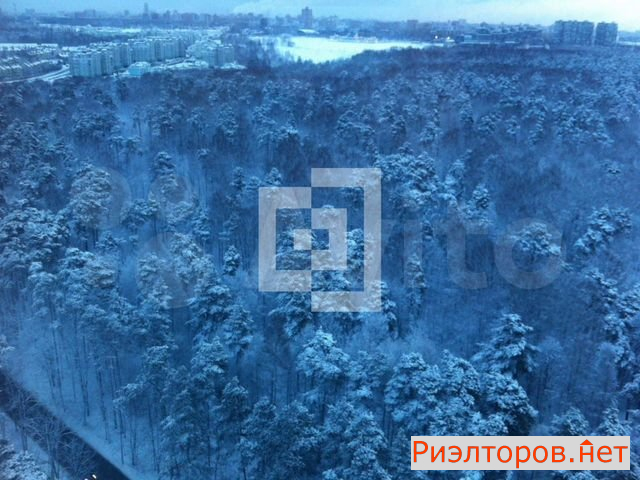 ����� �������� ������������ ����� 5 (���� �17)