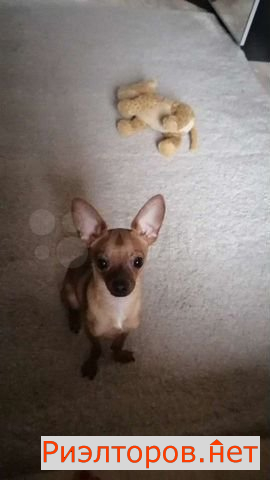 ����� ������� 2-� ����������� �������� 3 (���� �9)