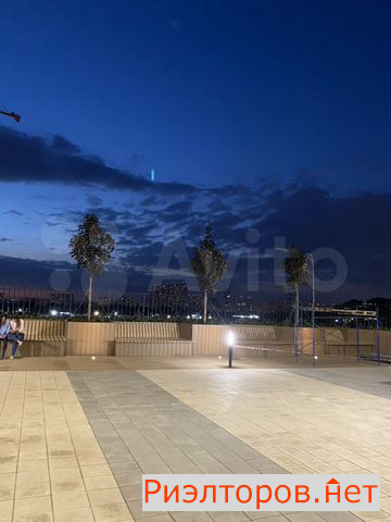 ������ ������ ������� ������� ����� ������� ���� (���� �12)