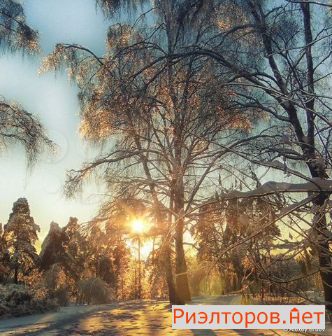 ������ ������ ����� ��������� �������� 10 (���� �10)