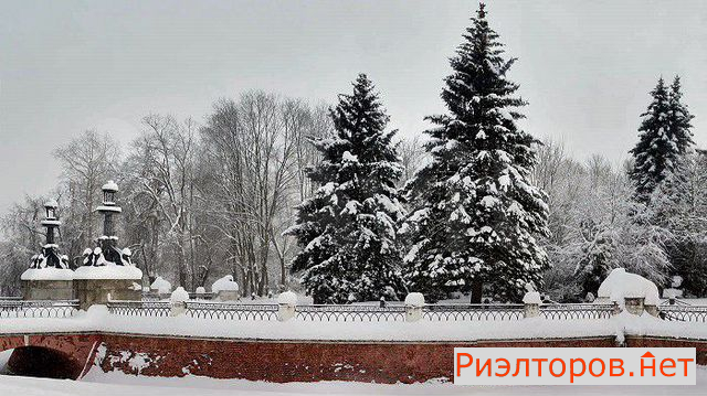 ������ ������ ����� ��������� �������� 10 (���� �8)