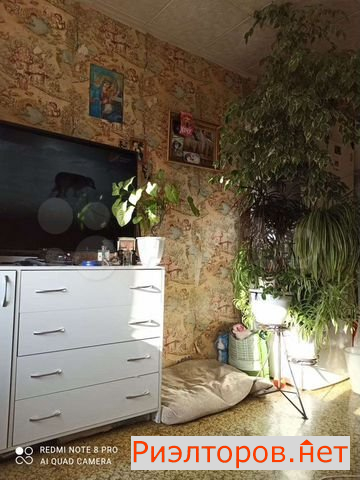 ������ ������� ����� ������ ��� 1�5 (���� �24)