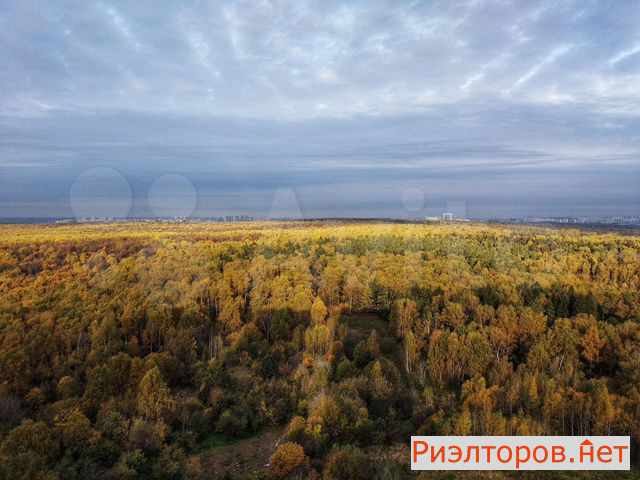 ����� ������� � �� ������ ���� (���� �8)