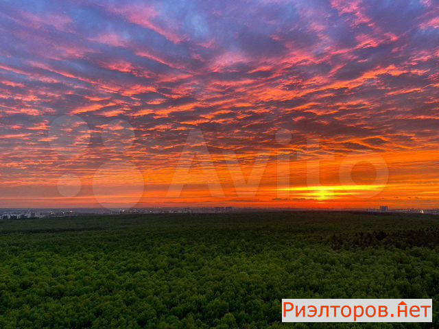 ����� ������� � �� ������ ���� (���� �9)