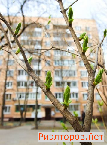 ������ �������� �������������� ����� 10 (���� �5)