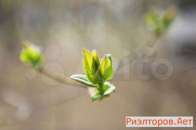 ������ �������� �������������� ����� 10 (���� �16)