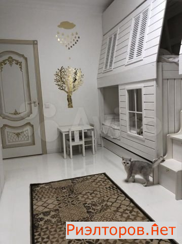 ������ �������� ������� ����� ������ (���� �19)