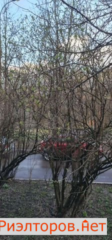 ������ ������� ���������� ������ 16�1 (���� �6)