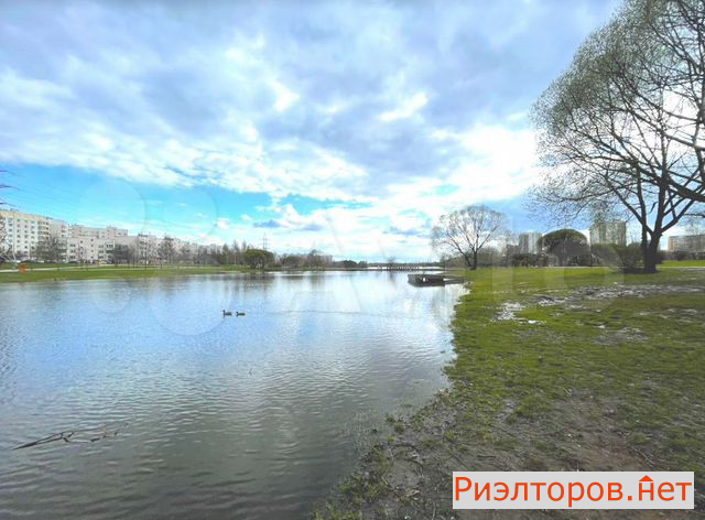 ������ �������� ����� �������� 8�1 (���� �23)