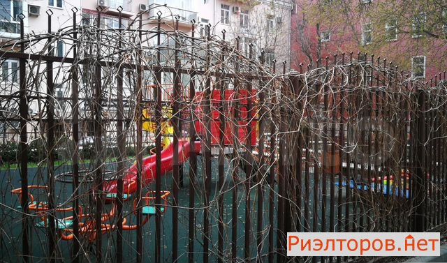 ������ �������� ����� ������� ������� 19 (���� �11)