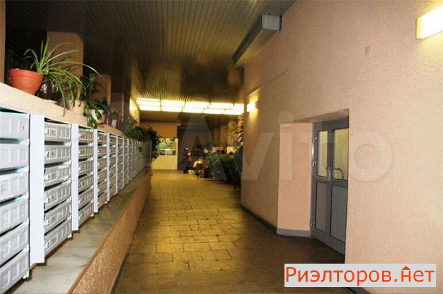 ������ �������� ����� ���������������� ����� ����� ��������� �������� (���� �8)