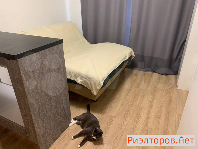 ������ ������ ��������� ����� 2�3 (���� �29)