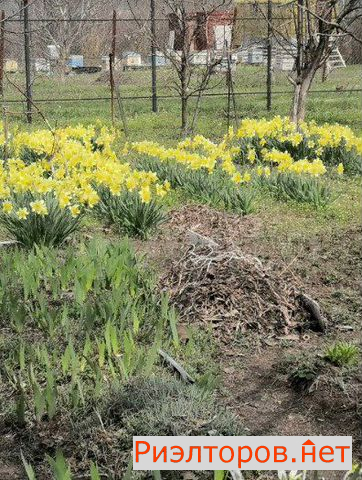 ������ ������ ������������� ����� 42 (���� �5)