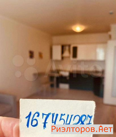      241 ( 36)