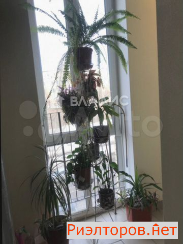 ������ �������� ����� ��������� 7�1 (���� �7)