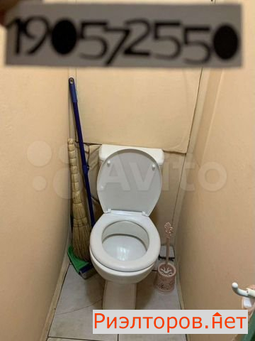      31 ( 10)