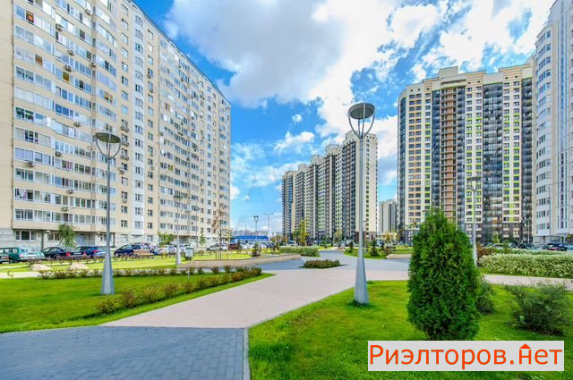 ������ �������� ��������� ���������� ����� ������ ���������� (���� �19)