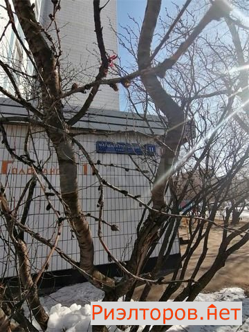 ������ �������� ����� ������� ���������� 11 (���� �2)