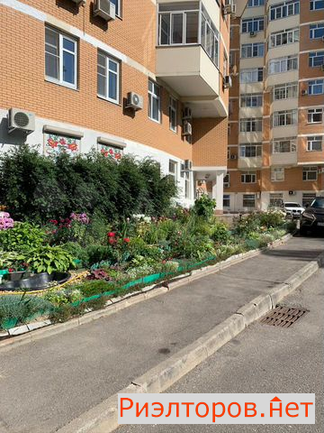 ������ �������� ���������� ����� 12 (���� �25)