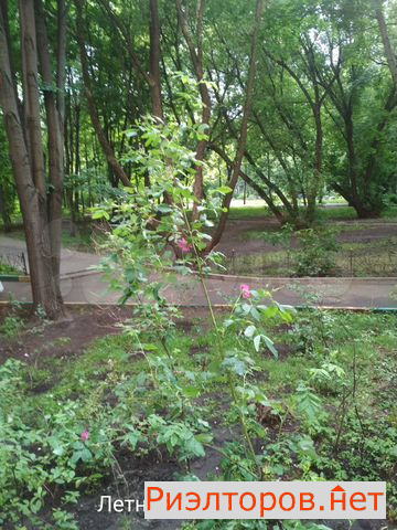 ������ �������� 9-� �������� ����� 6 (���� �20)