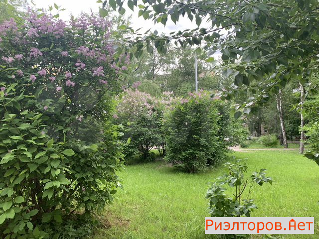 ������ ������ ����������� ������ 5�1 (���� �13)