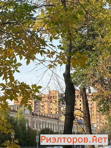 ������ �������� ������������� ����� 2�2 (���� �19)