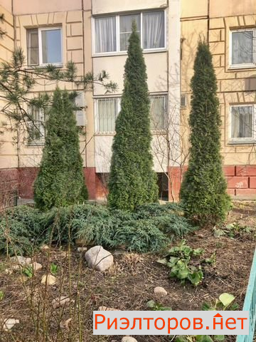 ������ �������� ���������� ����� 12 (���� �2)