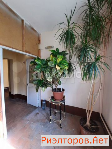 ������ �������� 1-� �������� ����� 1�2 (���� �21)