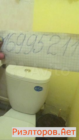      6 ( 5)