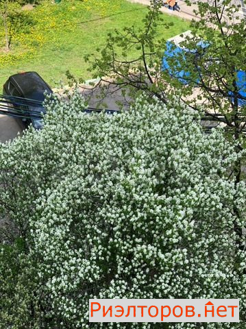 ������ �������� �������� ����� 11 (���� �11)