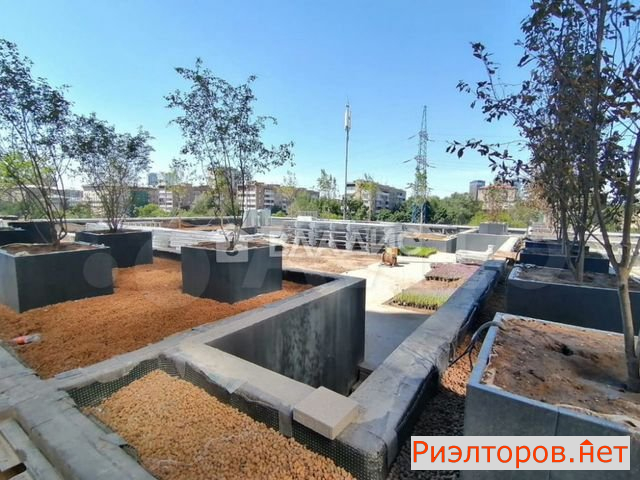 ������ �������� ����������� ����� 1� (���� �5)