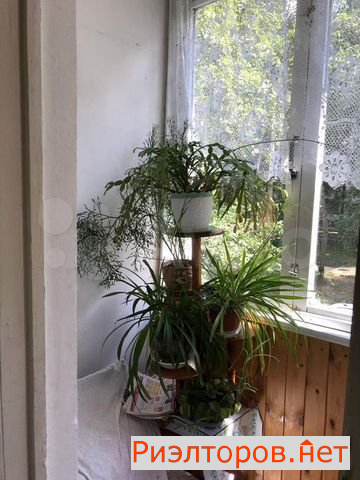 ������ �������� ��������� ������� 58 (���� �6)