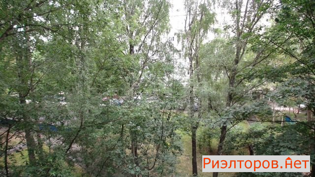 ������ �������� �������� ����� 19�4 (���� �14)