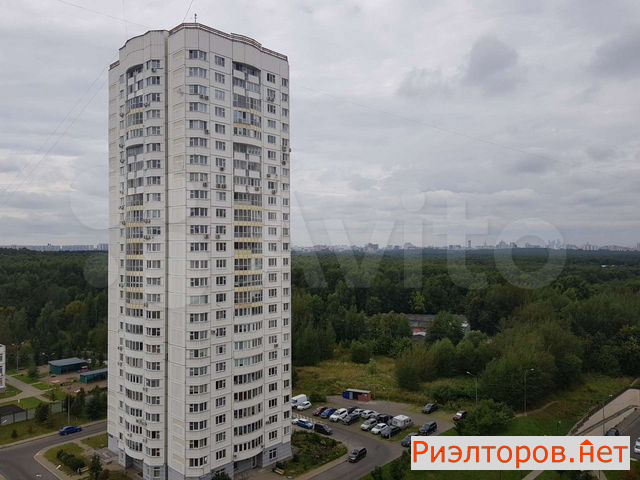      222 ( 19)