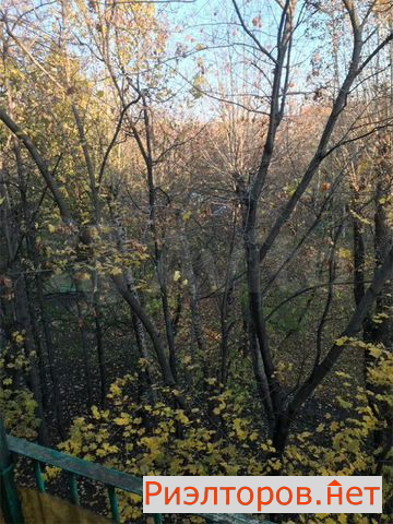 ������ �������� ��������� ����� 4 (���� �14)