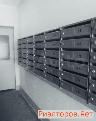 ������ ������ ���� ���������� ����� ��������� (���� �10)