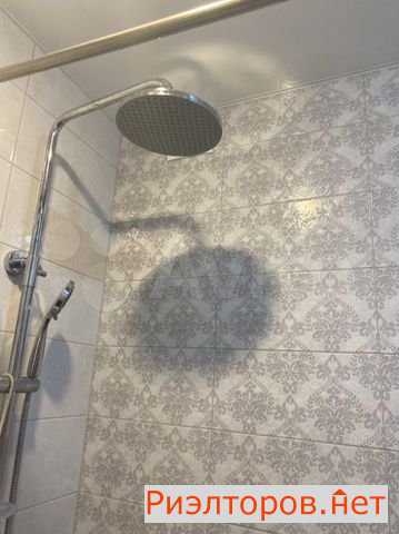        ( 2)