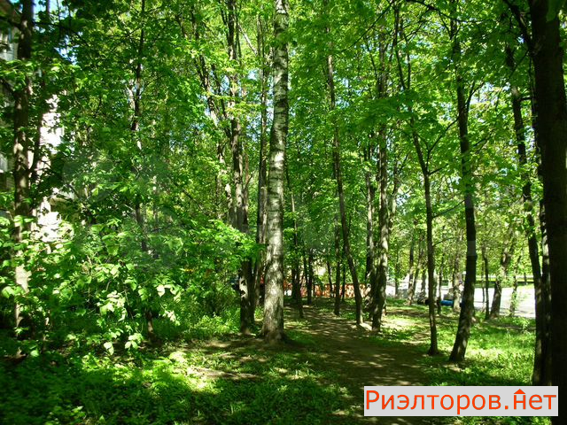 ������ �������� ������������ ����� 35�1 (���� �18)