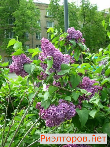 ������ �������� ������������ ����� 35�1 (���� �20)