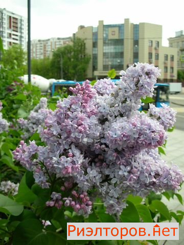 ������ �������� ������������ ����� 35�1 (���� �21)