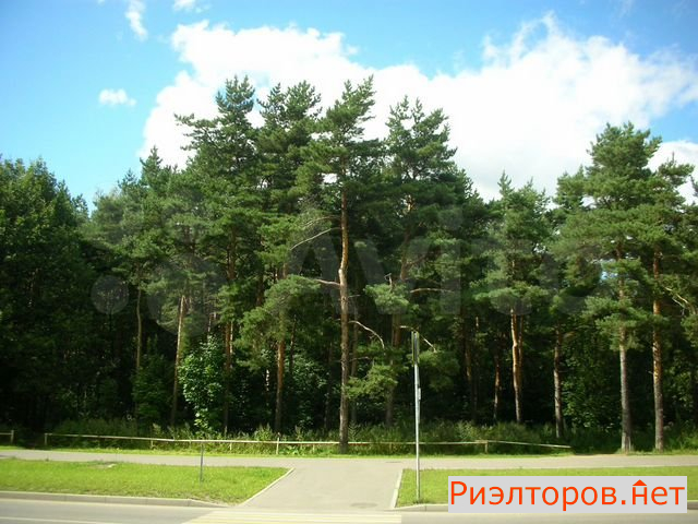 ������ �������� ������������ ����� 35�1 (���� �22)