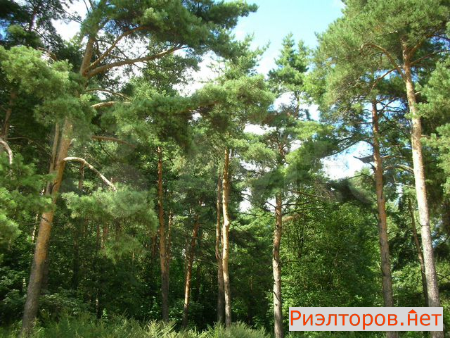 ������ �������� ������������ ����� 35�1 (���� �23)