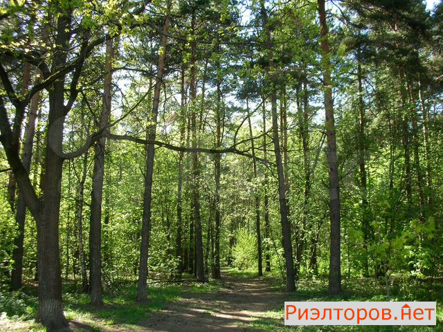 ������ �������� ������������ ����� 35�1 (���� �24)