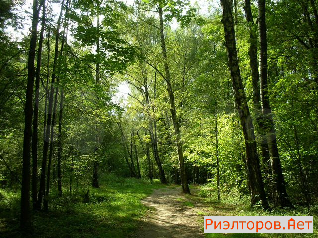 ������ �������� ������������ ����� 35�1 (���� �25)