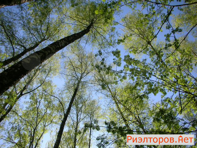 ������ �������� ������������ ����� 35�1 (���� �26)